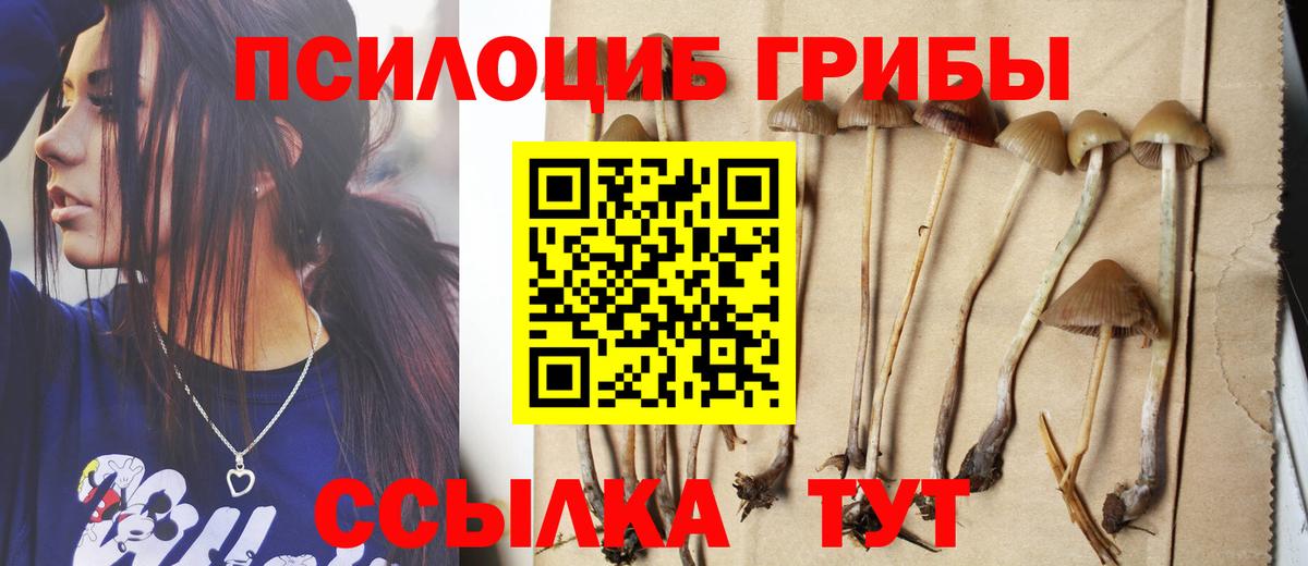 Галлюциногенные грибы Magic Shrooms  Галлюциногенные грибы Magic Shrooms  Вход с VPN  Донецк 